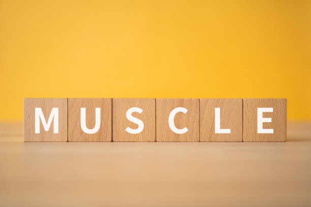 木块具有“肌肉”的文本概念。图片下载