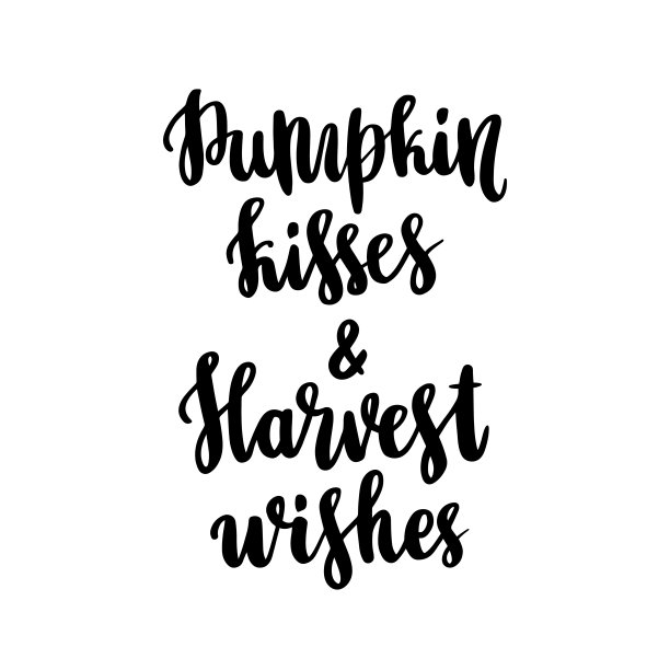 手绘引用:“南瓜之吻和丰收的祝愿”手绘，黑色墨水在白色的背景。可用于贴纸、贴片、请柬、宣传册、海报等宣传材料。图片下载