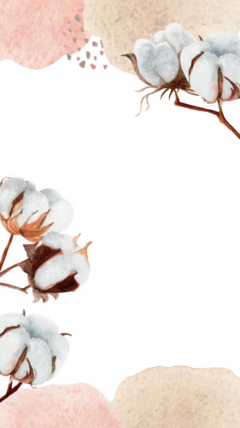 垂直社交媒体框架(棉)与地方文字孤立的白色背景(9:16)。用于设计社交媒体、文具、印刷品等。图片下载