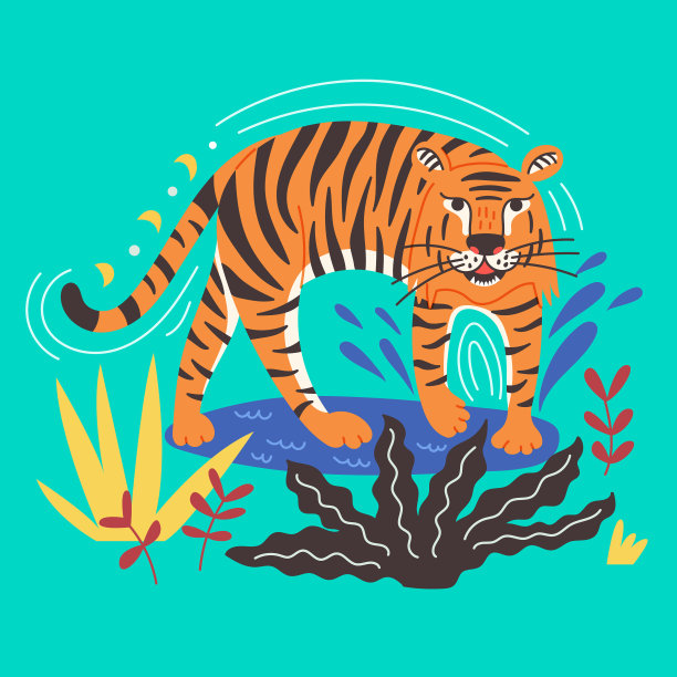 中国老虎站在水里图片下载