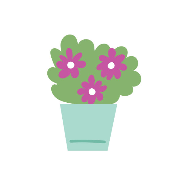 盆栽紫色的花图片下载