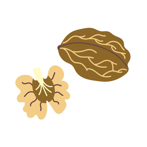 胡桃木图片下载