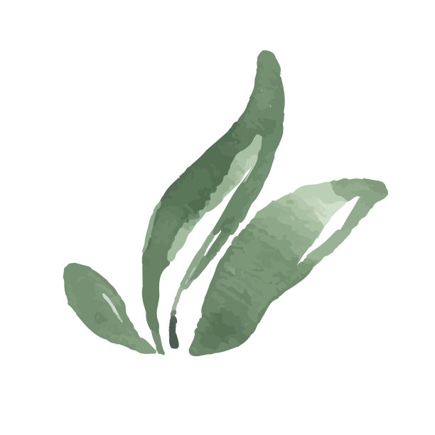 叶图标孤立的白色背景标志图片下载