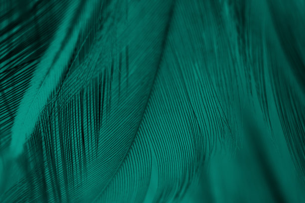 绿色绿松石复古色趋势鸡毛纹理背景图片下载