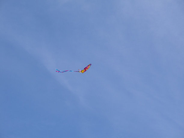 风筝在蓝天中飞翔图片下载