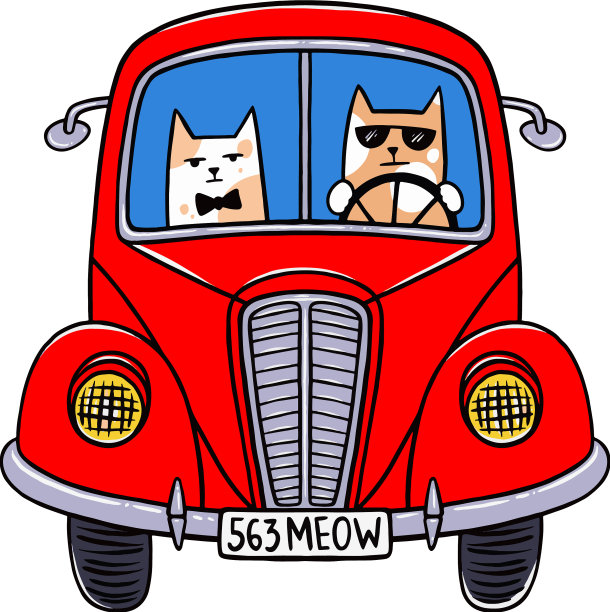 猫开车图片下载