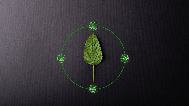 香脂柠檬叶以黑色背景为中心，周围有图标图片下载