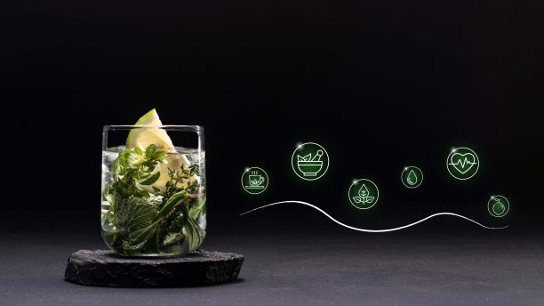 用柠檬和新鲜香草调味的水图片下载