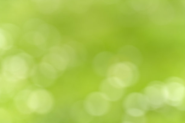 模糊的绿色背景或纹理与白色散景图片下载