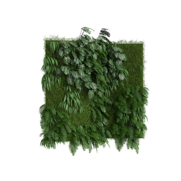 墙壁植物孤立在白色背景的3d插图图片下载
