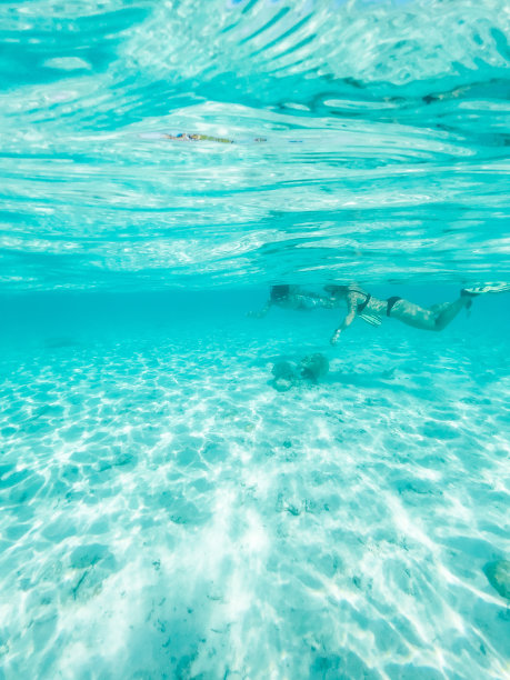 一对夫妇在清澈的水中浮潜的分镜头图片下载