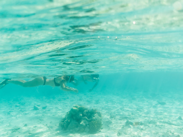 一对夫妇在清澈的水中浮潜的分镜头图片下载