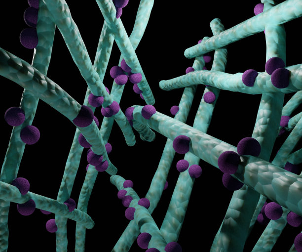 含有共轭纳米药物的高分子静电纺纳米纤维用于药物控释图片下载