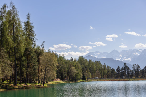混合落叶针叶林在拉戈迪科利多海岸的背景下的高山山峰与冰雪，特伦蒂诺，意大利图片下载