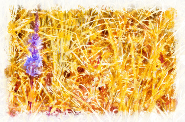 盛开花朵的水彩画。现代数码艺术，手绘水彩画图片下载