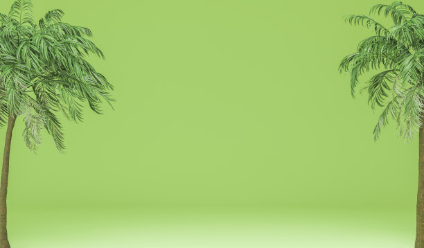 3d绿色平台棕榈树，夏季背景舞台插图，棕榈叶产品展示，绿色空室构图，3d背景展示设计，数字插图图片下载