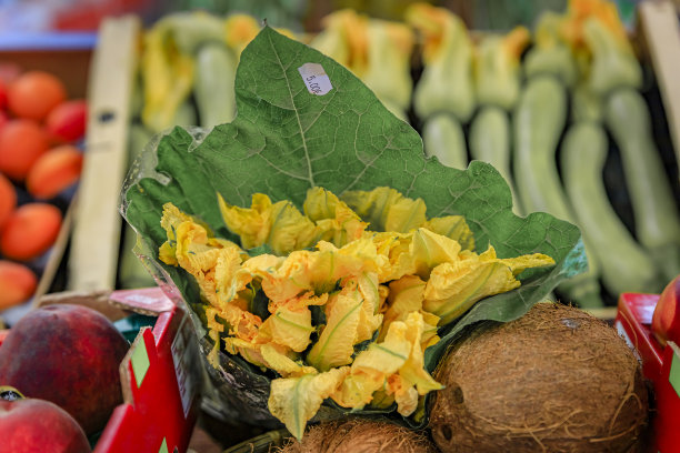 法国里维埃拉尼斯市场上的西葫芦花或西葫芦花图片下载