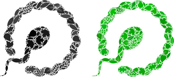 人工授精图标生态成分的草本物品图片下载