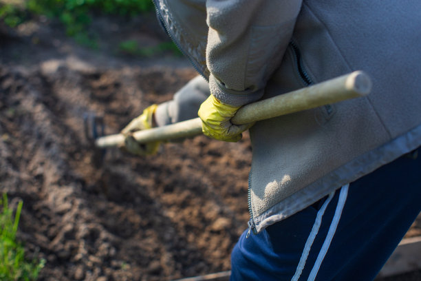 为春天种植应季蔬菜和水果准备农田。园林季节性工作理念图片下载
