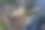 为春天种植应季蔬菜和水果准备农田。园林季节性工作理念图片下载