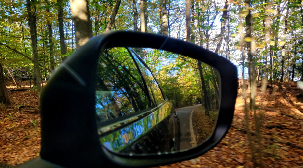 被大自然包围图片下载