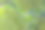 森林和蜿蜒的河流。用无人机航拍。图片下载