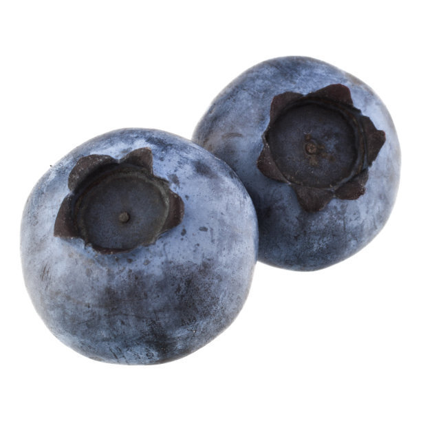 蓝莓或越橘孤立在白色背景的切割图片下载