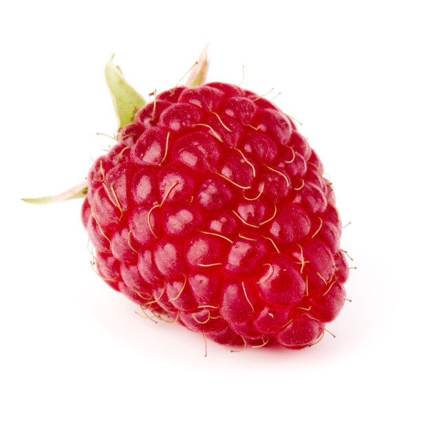 一个成熟的覆盆子孤立在白色背景近距离图片下载