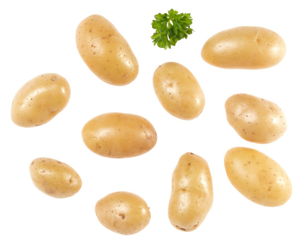 马铃薯和欧芹被隔离在白色背景上。前视图。平的模式。土豆在空中，没有影子。图片下载