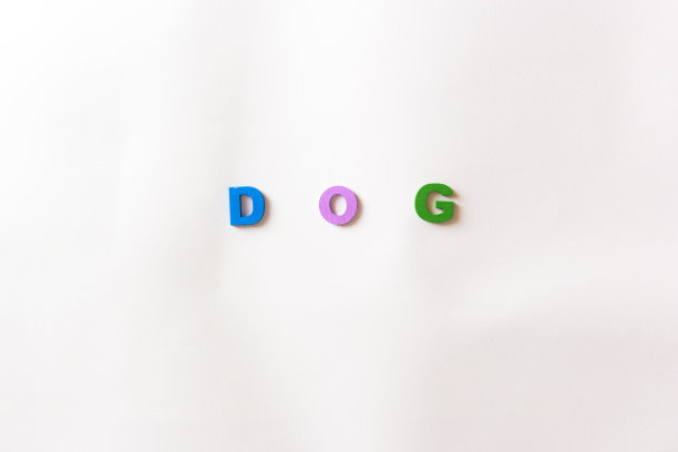 单词狗在白色的背景上用彩色字母表示图片下载