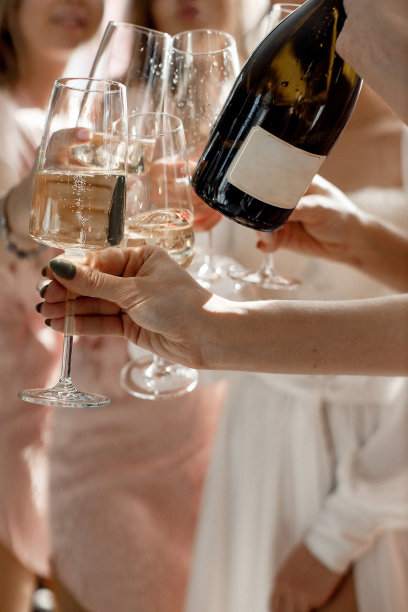 新娘和伴娘在婚礼上碰杯图片下载