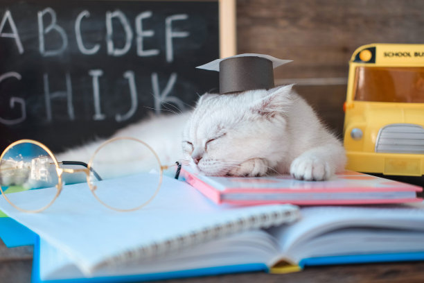 一只戴着毕业生帽和视力眼镜的小白猫，在印有英文字母的校董会背景下，睡在打开的书本上。这只猫厌倦了做作业。图片下载