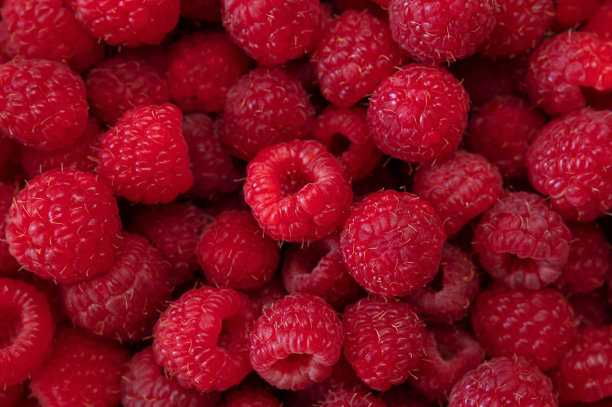 成熟多汁的覆盆子特写。从树莓背景。夏天浆果香甜可口。覆盆子微距照片的纹理。健康的有机食品，维生素。树莓收获图片下载