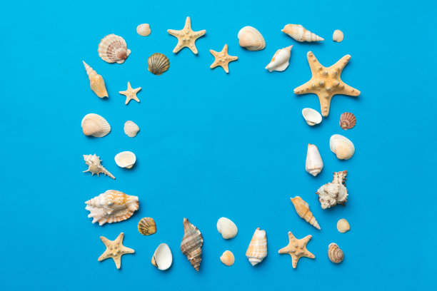 彩色背景上的夏日时光概念。贝壳从海洋海岸的形状框与文字顶部的空间分开图片下载