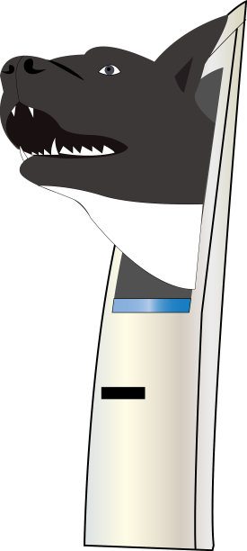 一条狗从白色的车里探出头来图片下载