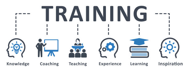 训练图标-矢量插图。研讨会，教练，教学，咨询，经验，知识，建议，技能，信息图，模板，演示，概念，旗帜，象形图，图标集，图标。图片下载