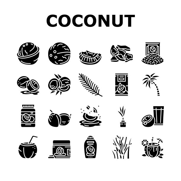 椰子椰子水果新鲜白色图标集向量图片下载