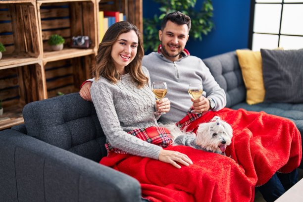 男人和女人在家里和狗一起坐在沙发上喝香槟图片下载