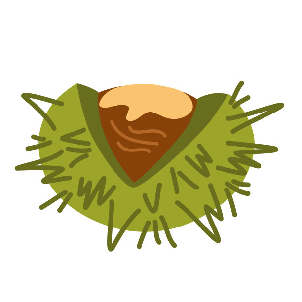 栗。有机食品。面料、海报、包装、横幅、包装纸等设计元素。栗子矢量孤立图标。图片下载