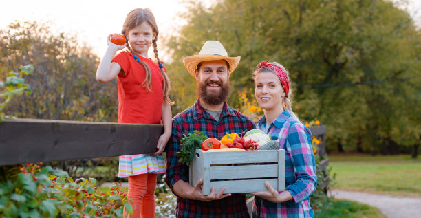 农民家庭用盒子装着新鲜蔬菜。图片下载
