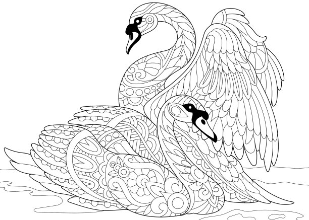 Zentangle设计了两只天鹅图片下载