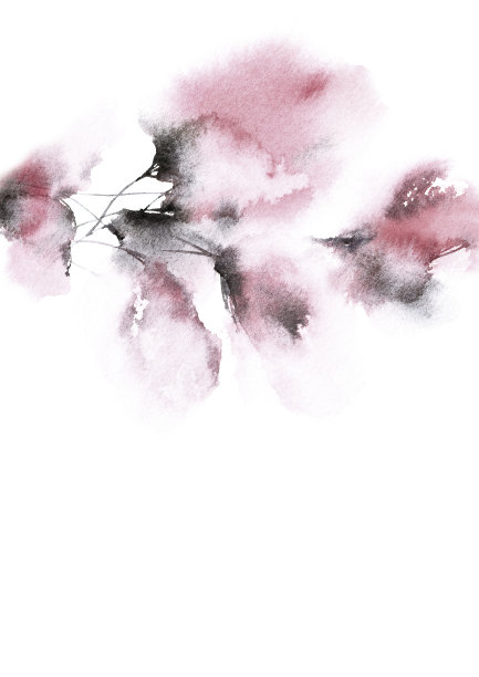 柔软的粉红色的花束。手绘樱花。水彩花卉绘画。花卉贺卡装饰。婚礼邀请花设计。图片下载