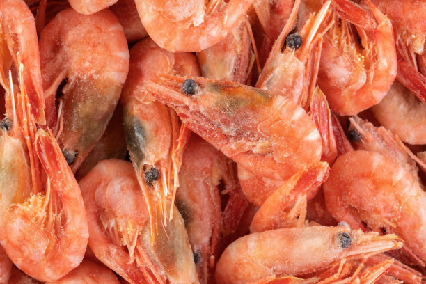 冻虾在白霜里，浑身是冰。图片下载