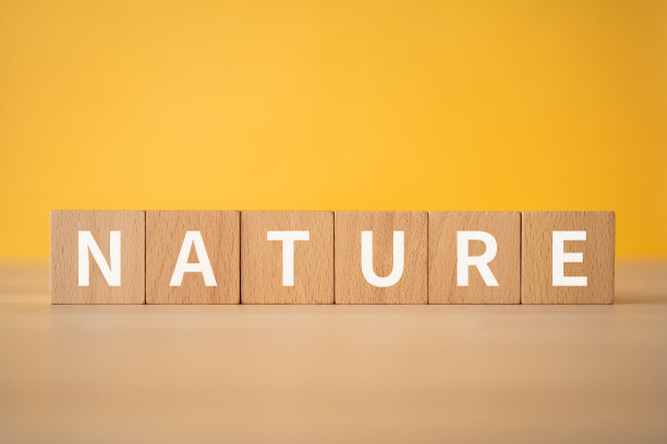 木块具有“自然”的文本概念。图片下载