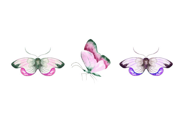 彩色水彩蝴蝶手绘插画图片下载