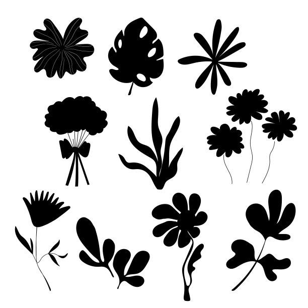 艺术花卉极简集孤立枝图片下载