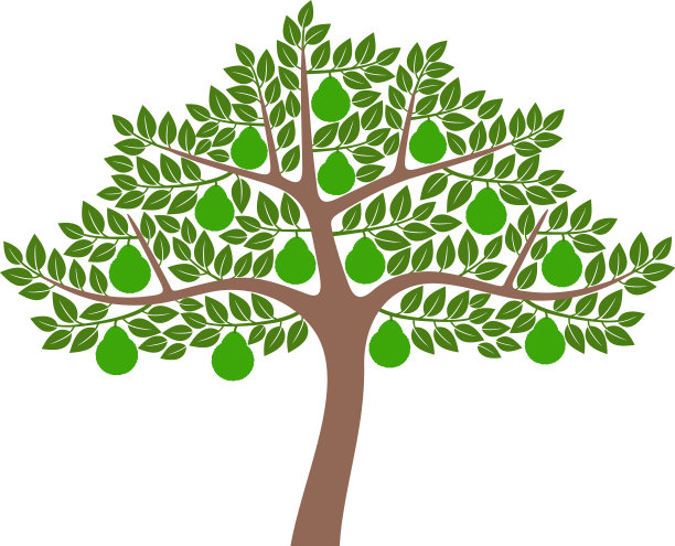 佛手柑树图片下载