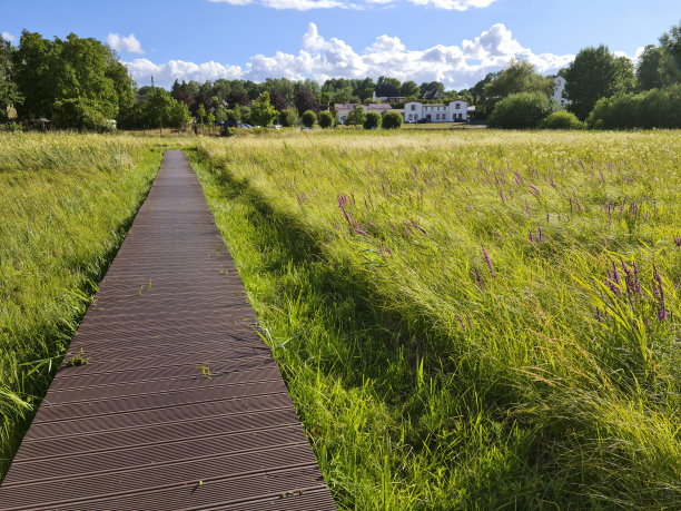 德国费尔德伯格Seenlandschaft湖区- Wiesenpark -徒步穿越沼泽地图片下载