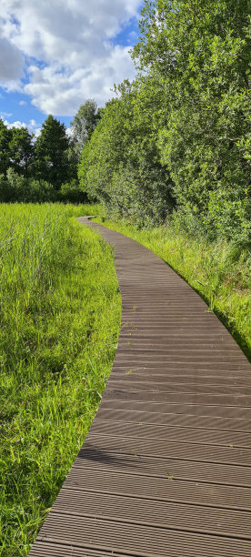 德国费尔德伯格Seenlandschaft湖区- Wiesenpark -徒步穿越沼泽地图片下载