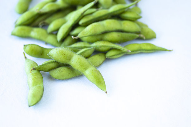 毛豆,绿色大豆图片下载
